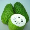 Graviola Guanabana Annona Muricata Garden Rare Fruit Tree Seed
