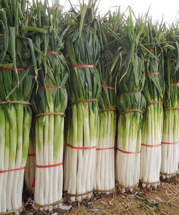 High-yielding Vegetable Seed Customized Made For The Kitchen