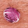 Indigo Hybrid Radicchio Seeds
