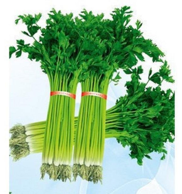 Japanese Small Parsley Seeds Organic Vegetable Seeds