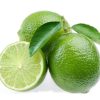 Lime Seeds Citrus Aurantifolia Organic Fruit Seeds Lemon Tree Bo
