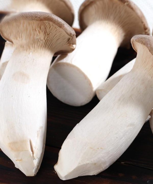 Mushroom Seeds Garden Planting Edible Pleurotus Eryngii Seeds