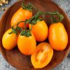 Orange Paruche Hybrid Tomato Seeds