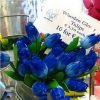 Perennial Perfume Tulip Seed Mixed Color Tulip Flower Bonsai See