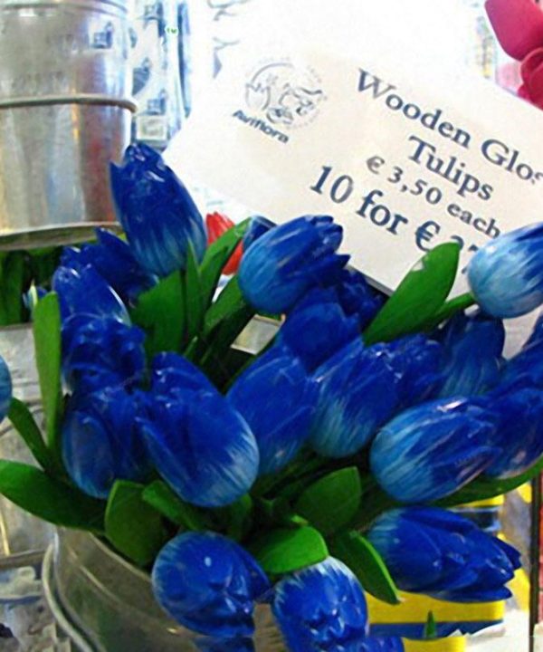 Perennial Perfume Tulip Seed Mixed Color Tulip Flower Bonsai See