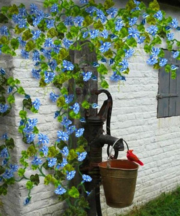 Perennial Plant Garden Decoration Vines Climbing Clematis Seed