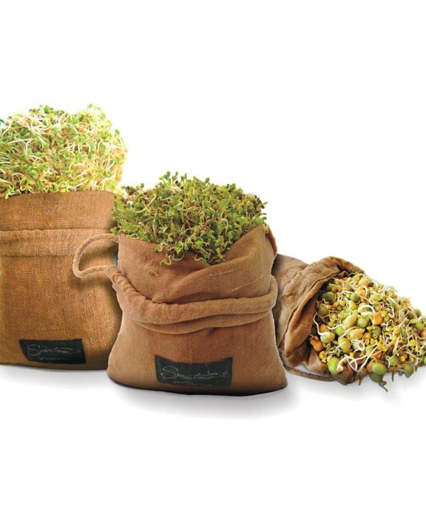 Raw Hemp Sprouting Bag