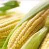 Super - Sweet Fruit Corn Seeds Cultivation Sweet Waxy High