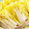 Sweet Vegetable Seeds Rapre Seeds