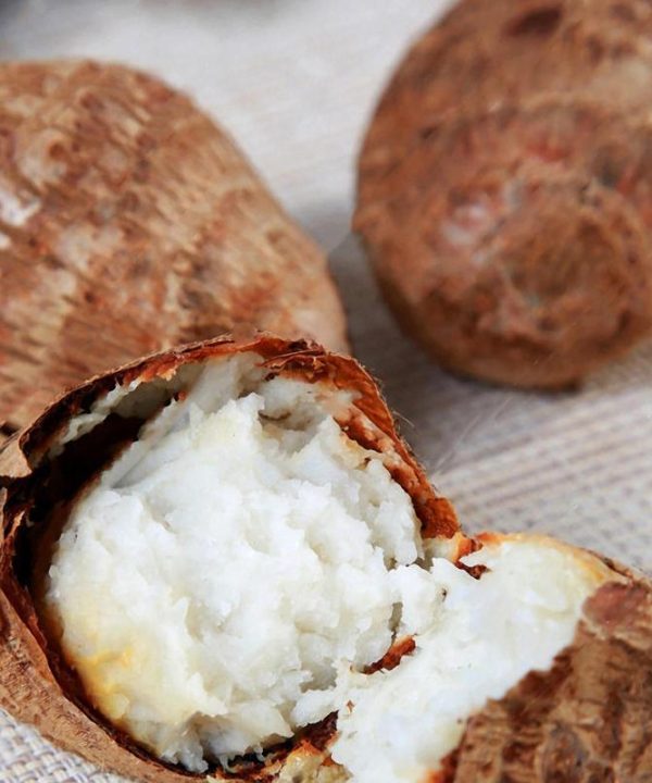 Taro Seeds Heirloom Macrorrhiza Ornamental Root Vegetable Seeds