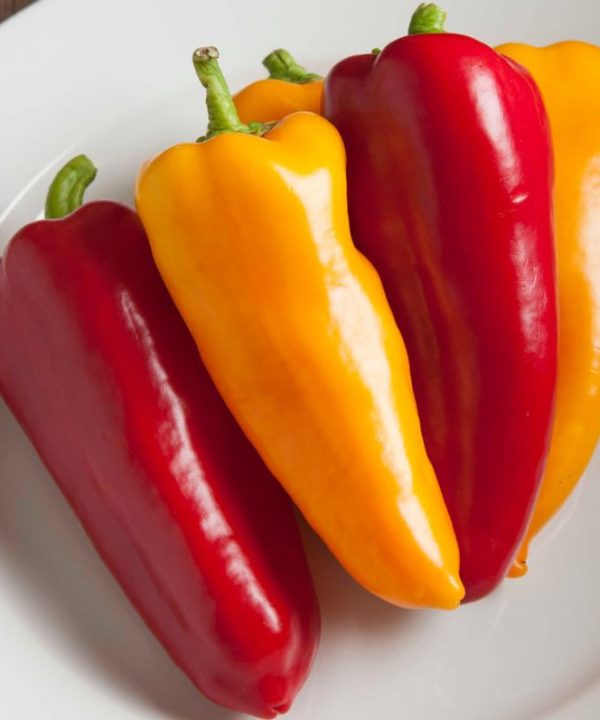 Cornito Pepper Seeds
