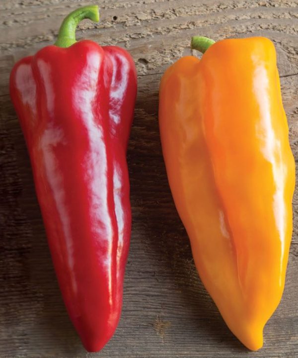 Corno di Toro Pepper Seeds