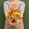 Persian Carpet - Heirloom & Organic Zinnia Seeds