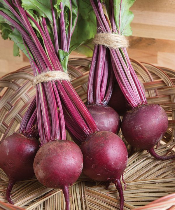 Boro - 1r Organic  (F1) Beet Seed