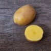Natascha - Seed Potatoes