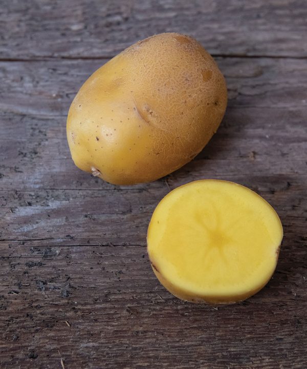 Natascha - Seed Potatoes