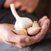 German Extra Hardy - Garlic Bulbs