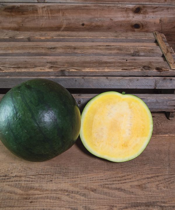 Tropical Sunshine - (F1) Watermelon Seed