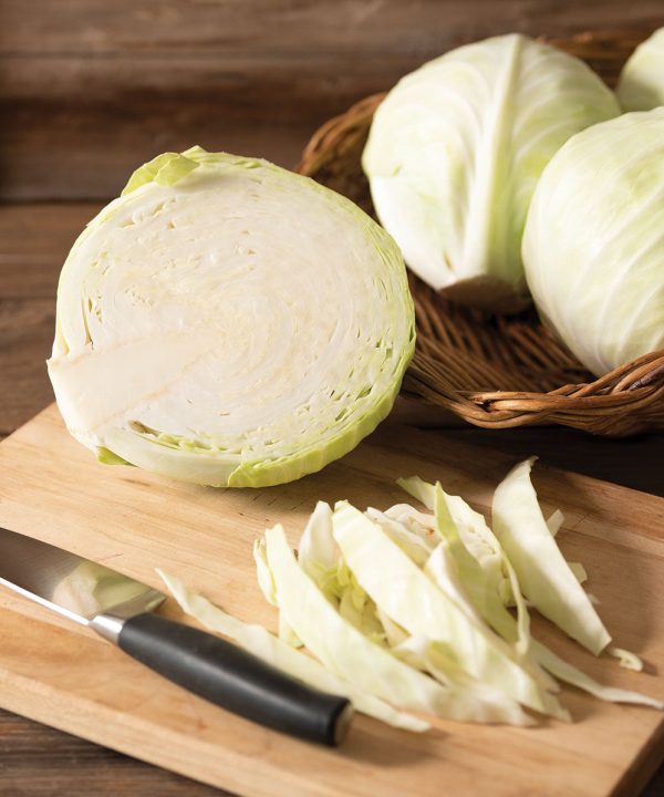 Promise - (F1) Cabbage Seed