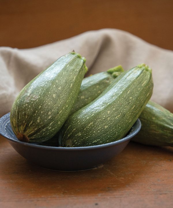 Mexicana - Organic (F1) Zucchini Squash Seed