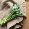 New Melody (F1) Broccoli Seeds