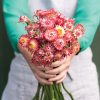 King Size Raspberry Rose - Strawflower Seed