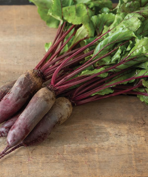 Formanova - Organic Beet Seed