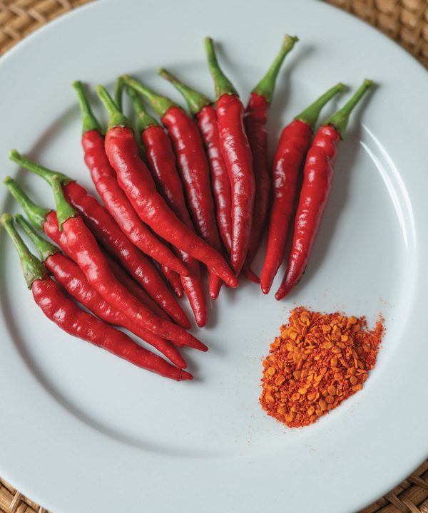 Bottle Rocket - Cayenne Pepper Seed