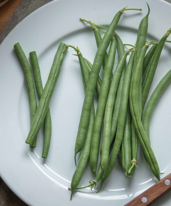Seychelles - Organic Bean Seed