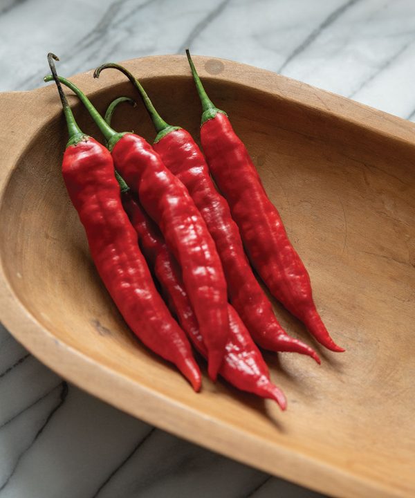 Mojo - Aji Pepper Seed