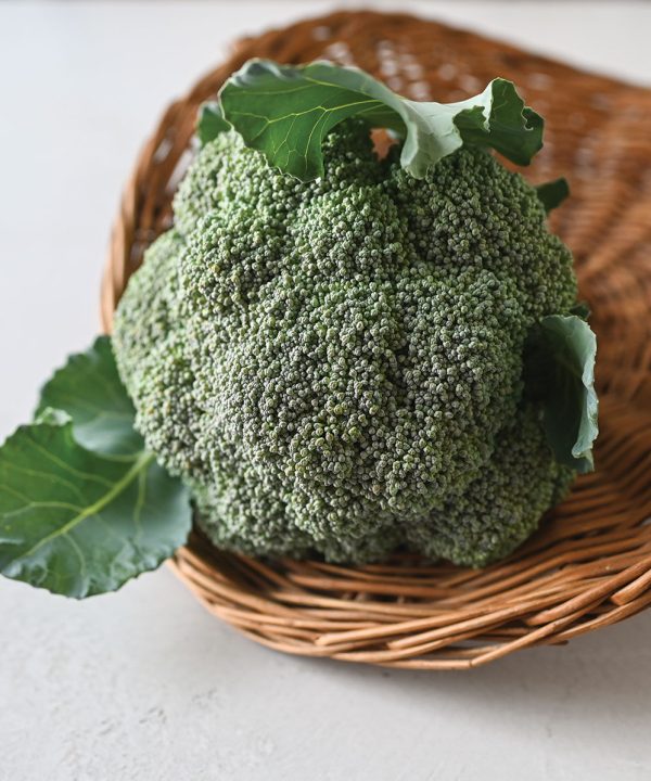 Kariba - (F1) Broccoli Seed