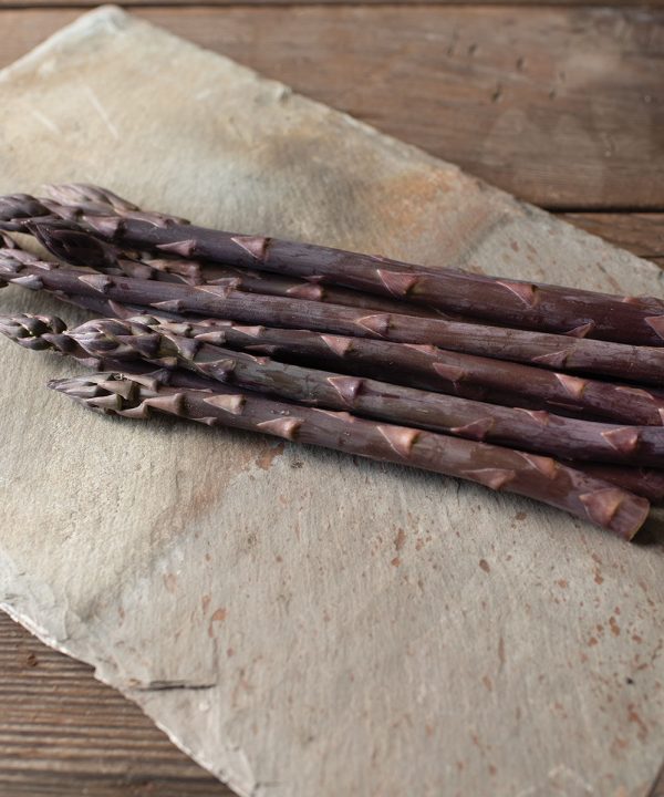 Erasmus - Purple Asparagus Seeds