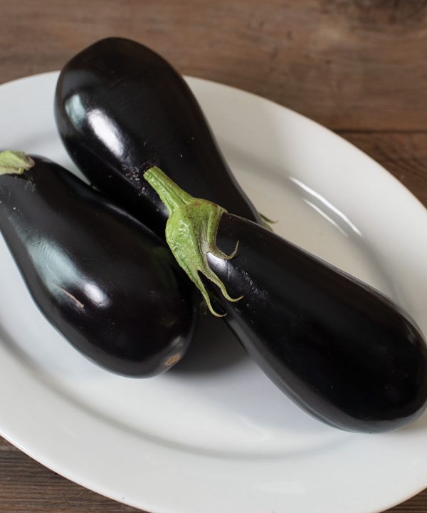 Gaudi - Organic (F1) Eggplant Seed