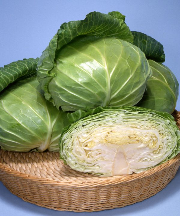 Sweet and Tender - (F1) Cabbage Seed