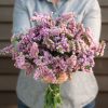 Forever Happy - Statice Seed
