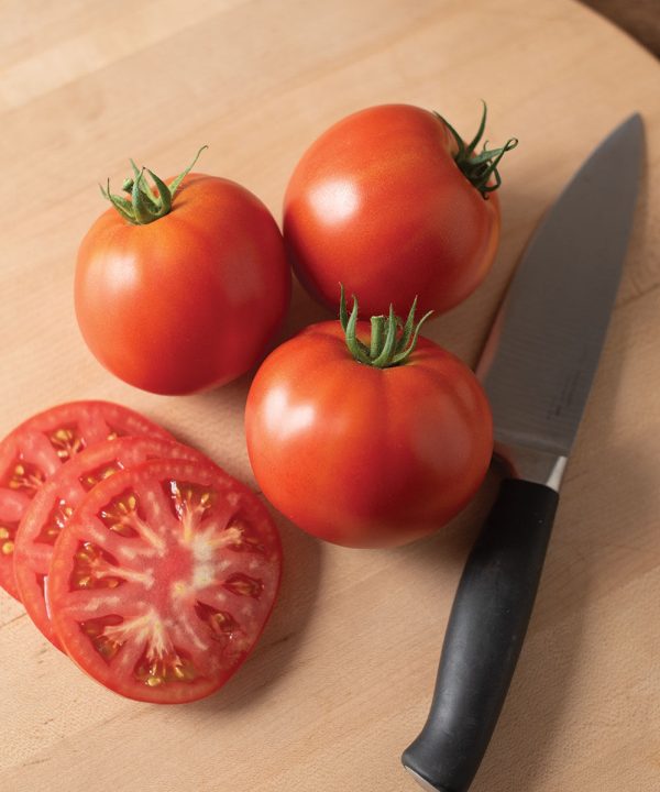 RuBee Dawn - (F1) Tomato Seed