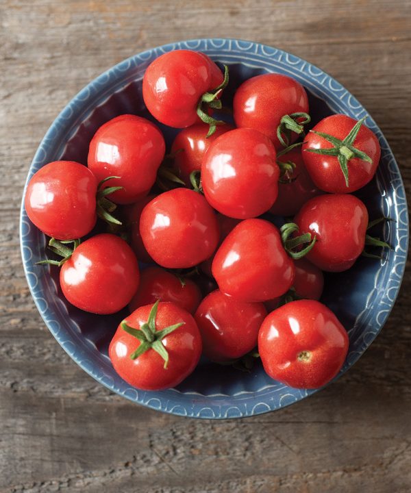 Mochi - Cherry Tomato Seeds