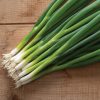 Feast - Onion Seed