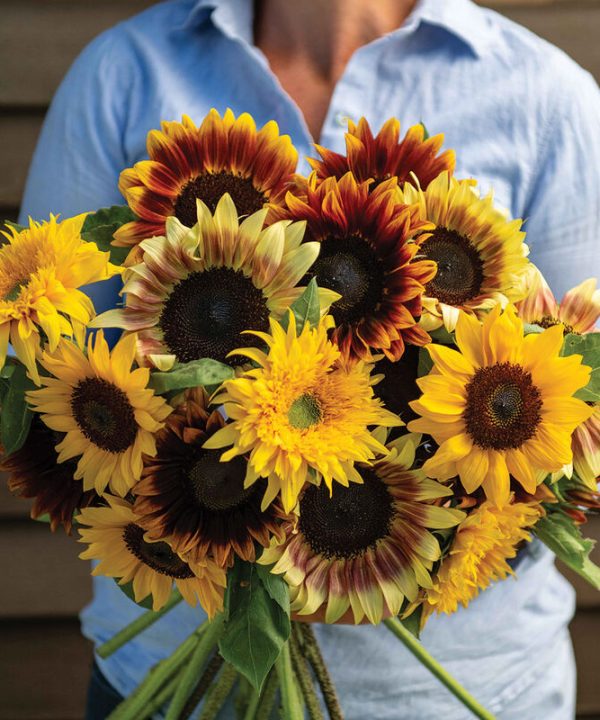 Summer Breeze Mix - Sunflower Seed