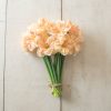 Apricot Whirl - Narcissus Bulb