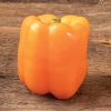 SVPB8500 - (F1) Bell Pepper Seed