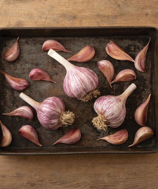 Chesnok Red - Garlic Bulbs