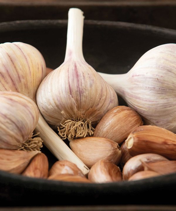 German Red - Garlic Bulbs