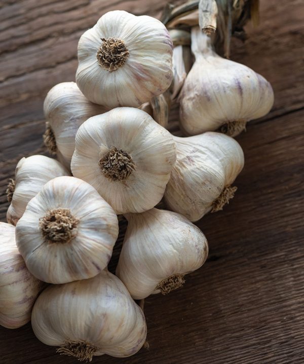 Inchelium Red - Garlic Bulbs