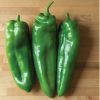 Spitfire - (F1) Anaheim Pepper Seed