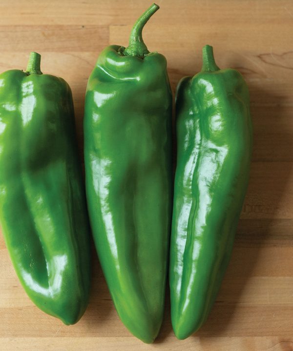 Spitfire - (F1) Anaheim Pepper Seed