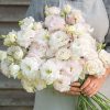 Voyage 2 First Love (F1) Lisianthus