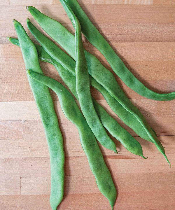 Helda - Organic Bean Seed