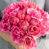 Sunset Tropical - Tulip Bulb