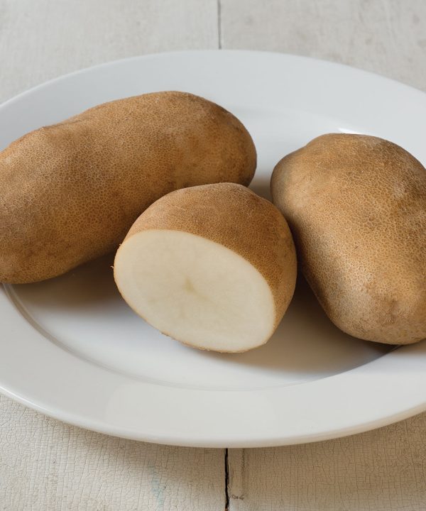 Caribou Russet - Organic Seed Potatoes